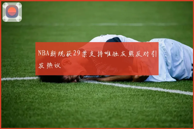 NBA新规获29票支持唯独灰熊反对引发热议