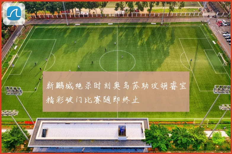新鹏城绝杀时刻奥乌苏助攻胡睿宝精彩破门比赛随即终止